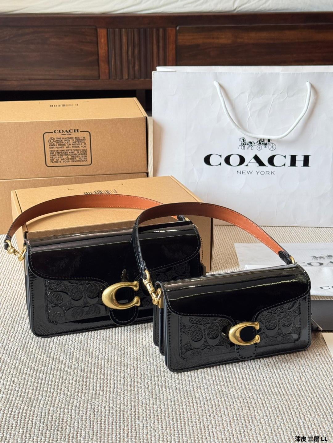 coach bag 282